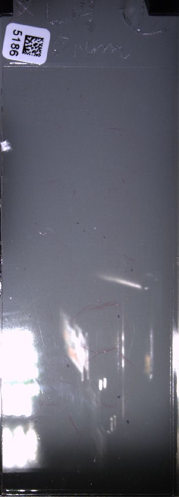 Media type: image; Special Collections 4011   shows specimen_part histological serial section;